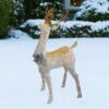 Cheapest ๐ฅฐ Northlight 48" White and Gold Lighted Standing Buck Outdoor ๐ Christmas Decor ๐ 1 Cheapest ๐ฅฐ Northlight 48" White and Gold Lighted Standing Buck Outdoor ๐ Christmas Decor ๐ -Outdoor Lighting Store unnamed file 1179