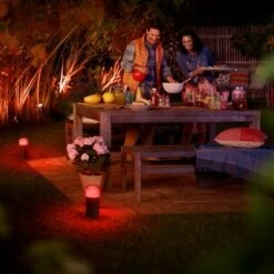 Top 10 ๐ Philips Hue White & Color Ambiance Calla Outdoor Pathway LED Light Extension ๐ 16 Top 10 ๐ Philips Hue White & Color Ambiance Calla Outdoor Pathway LED Light Extension ๐ -Outdoor Lighting Store unnamed file 1374