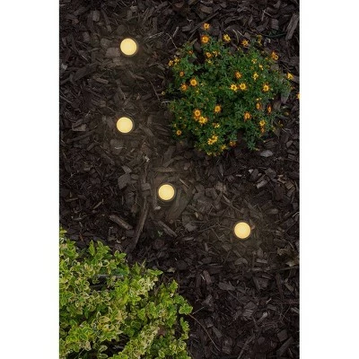 Wholesale 😉 15 Pucks Seasons Mini LED Acrylic Landscape Lights Black - Enbrighten 👍 3 Wholesale 😉 15 Pucks Seasons Mini LED Acrylic Landscape Lights Black - Enbrighten 👍