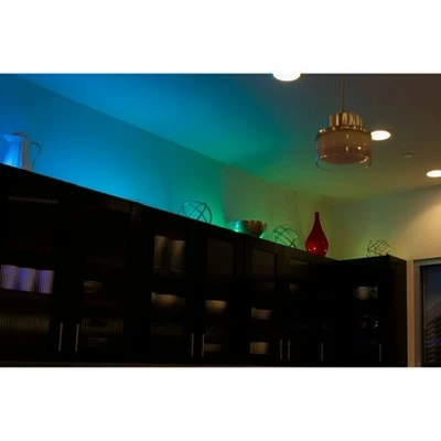 Wholesale 😉 15 Pucks Seasons Mini LED Acrylic Landscape Lights Black - Enbrighten 👍 4 Wholesale 😉 15 Pucks Seasons Mini LED Acrylic Landscape Lights Black - Enbrighten 👍 - Image 2