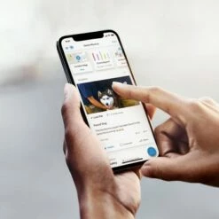 New ❤️ Smart Lighting Solar Pathlight Black - Ring ✔️ -Outdoor Lighting Store unnamed file 1527