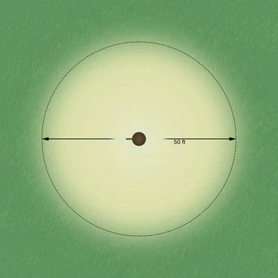 Best reviews of 🎉 John Timberland Portable Plug-In 68" High Landscape Light 🎁 7 Best reviews of 🎉 John Timberland Portable Plug-In 68" High Landscape Light 🎁 - Image 5