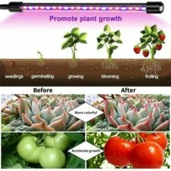 Flash Sale ✔️ MPM 10 Dimmable Levels 4 Head Timing Grow Light with 3 Modes Timing Function, Adjustable Gooseneck, Red/Blue Spectrum, With Remote Control, For Indoor 🧨 -Outdoor Lighting Store unnamed file 2291