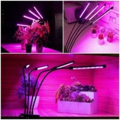 Flash Sale ✔️ MPM 10 Dimmable Levels 4 Head Timing Grow Light with 3 Modes Timing Function, Adjustable Gooseneck, Red/Blue Spectrum, With Remote Control, For Indoor 🧨 -Outdoor Lighting Store unnamed file 2292