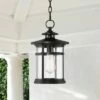 Coupon 🎉 Franklin Iron Works Modern Outdoor Hanging Light Matte Black 13 3/4" Clear Seedy Glass Exterior House Porch Patio Outside Deck ⌛ 1 Coupon 🎉 Franklin Iron Works Modern Outdoor Hanging Light Matte Black 13 3/4" Clear Seedy Glass Exterior House Porch Patio Outside Deck ⌛ -Outdoor Lighting Store unnamed file 2322