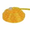 New ❤️ Northlight Incandescent Flexible Outdoor 🎄 Christmas Rope Lights Clear - 18' Gold 👍