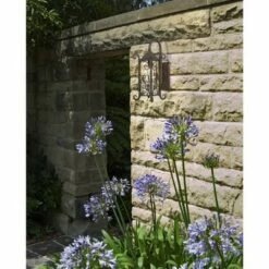 Cheap 🛒 John Timberland Rustic Outdoor Wall Light Fixture Dark Walnut Iron Twists 18 1/2" Champagne 🔨 Hammered Glass for Exterior House Deck ❤️ -Outdoor Lighting Store unnamed file 3228