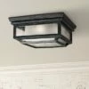 Cheap 😀 Feiss Shepherd 13"W Weathered Zinc Outdoor Ceiling Light 🧨 -Outdoor Lighting Store unnamed file 353