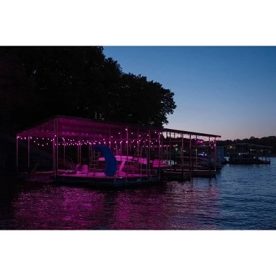 Best Pirce ❤️ 12ct Seasons Wi-Fi Classic Café Outdoor String Lights - Black Wire - Enbrighten 😀 6 Best Pirce ❤️ 12ct Seasons Wi-Fi Classic Café Outdoor String Lights - Black Wire - Enbrighten 😀 - Image 4