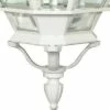 Promo 🔔 3 Light Outdoor Wall Lantern Sconce White - Aurora Lighting 🥰 -Outdoor Lighting Store unnamed file 4965