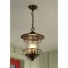 New ❤️ Franklin Iron Works Country Cottage Outdoor Ceiling Light Hanging Lantern Bronze 19" Clear Seedy Glass for Exterior Porch Patio 🎁 1 New ❤️ Franklin Iron Works Country Cottage Outdoor Ceiling Light Hanging Lantern Bronze 19" Clear Seedy Glass for Exterior Porch Patio 🎁 -Outdoor Lighting Store unnamed file 622