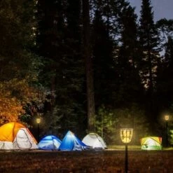 Hot Sale 😀 Techko Maid Solar Outdoor Torch Lights - Techko 😀 -Outdoor Lighting Store unnamed file 661